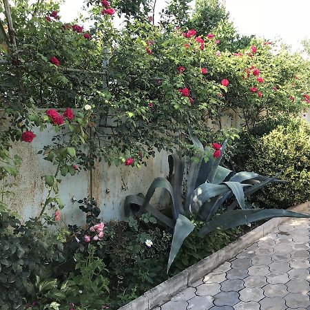 Bajo Guest House Kutaisi Bagian luar foto